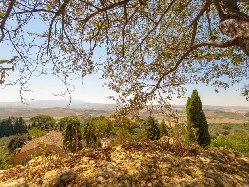 From Florence: Val D'Orcia Tour with Wine Tasting - Pienza on a Hill: Pecorino tasting and Renaissance streets