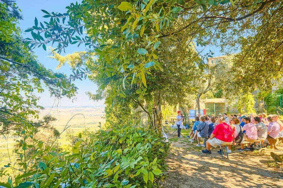 From Florence: Val D'Orcia Tour with Wine Tasting - Wine tastings you can actually use: Brunello, Vino Nobile, Pecorino