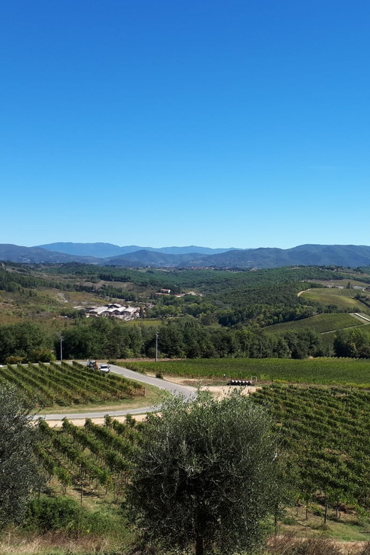 From Florence: Vintage Fiat 500 Chianti & Tuscany Wine Tour - Chianti Classico roads, driven for comfort and good views