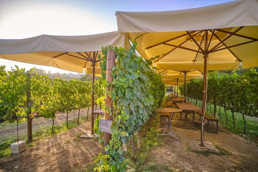 From Florence: Wine Tasting and Dinner in Chianti Vineyards - Chianti in 6.5 hours, not a day trip that drags