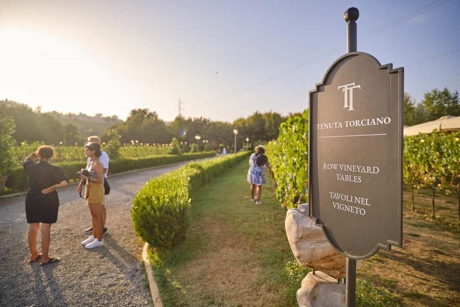 From Florence: Wine Tasting and Dinner in Chianti Vineyards - Stop one at a family-run estate: vineyards, cellars, olive oil, and a starter tasting