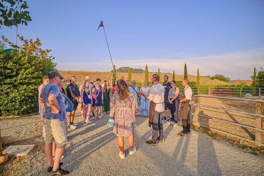 From Florence: Wine Tasting and Dinner in Chianti Vineyards - The second estate dinner: the sunset setting people talk about