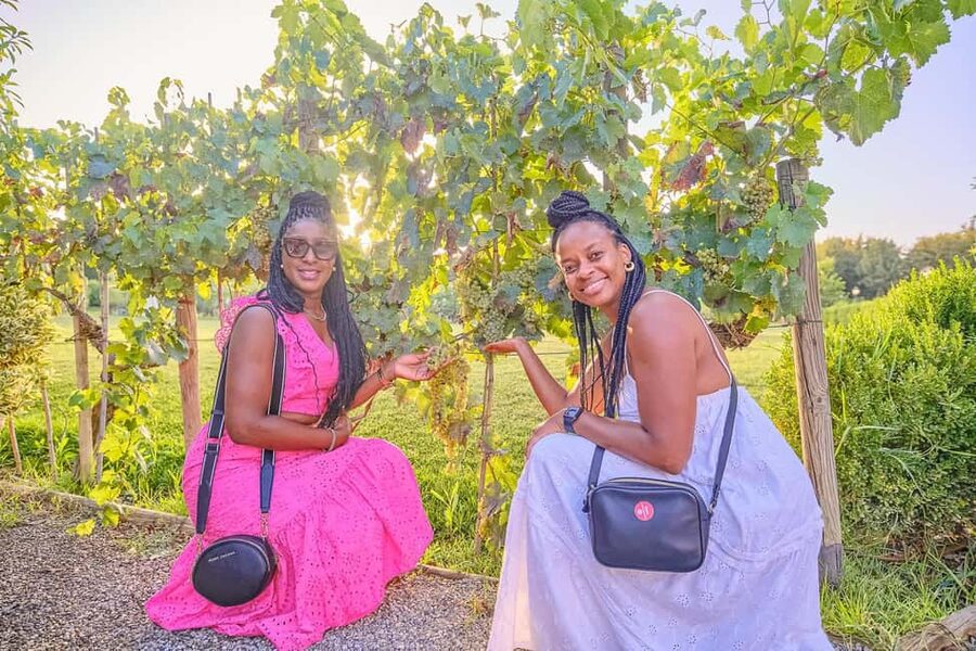 From Florence: Wine Tasting and Dinner in Chianti Vineyards - Price and value: why $141 can feel fair for what you get