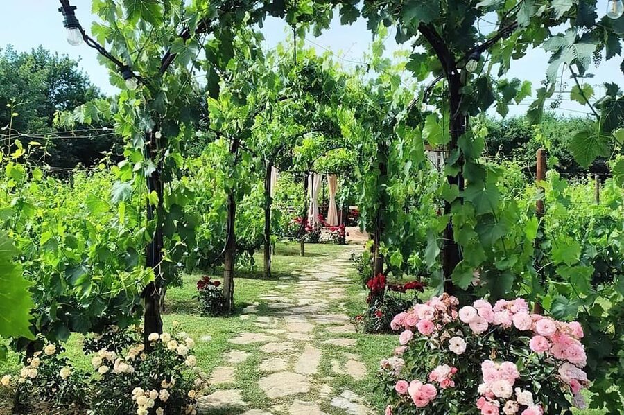 From Livorno: Authentic italian Pasta Cooking Class - The Tuscany Drive: Rolling Hills, Vines, and a Real Pace