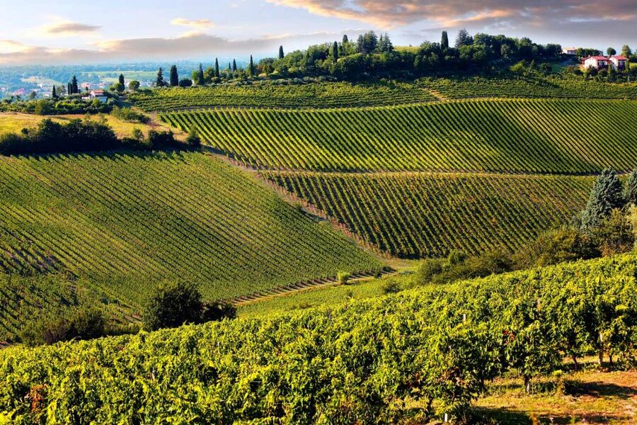 From Pisa or Lucca: Half-Day Tuscany Chianti Wine Tasting - What to wear, what to bring, and how to plan your day