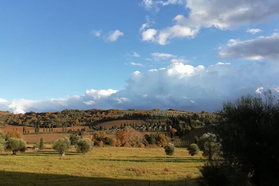From Siena: Brunello di Montalcino Guided Wine Tour W/ Lunch - Lunch at a family-run winery: where the day slows down