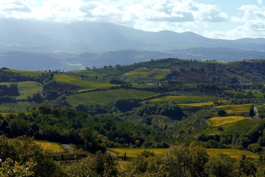 From Siena: Brunello di Montalcino Guided Wine Tour W/ Lunch - Abbey of Sant’Antimo: the quiet, ancient counterpoint