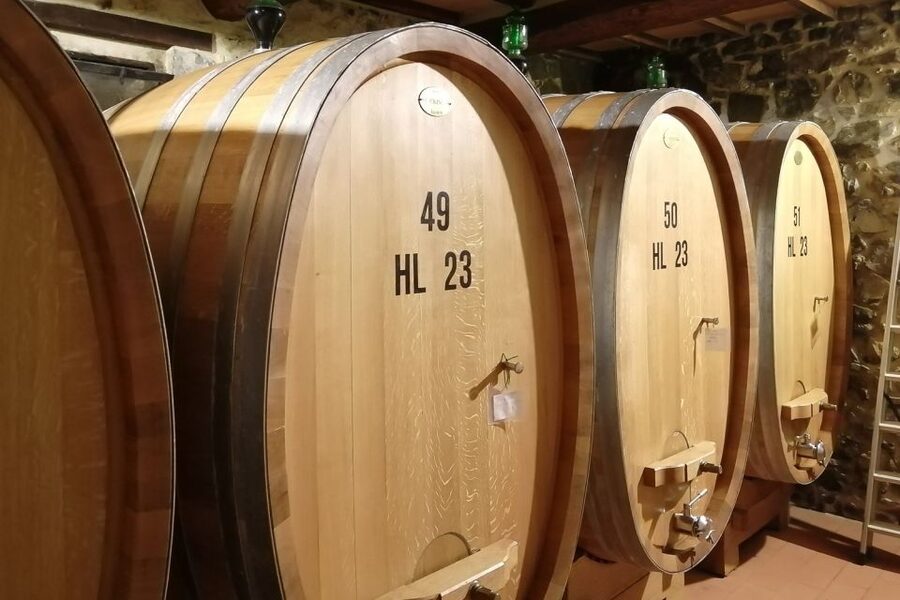 From Siena: Brunello di Montalcino Guided Wine Tour W/ Lunch - The small-group effect: what changes when you keep it to max 8