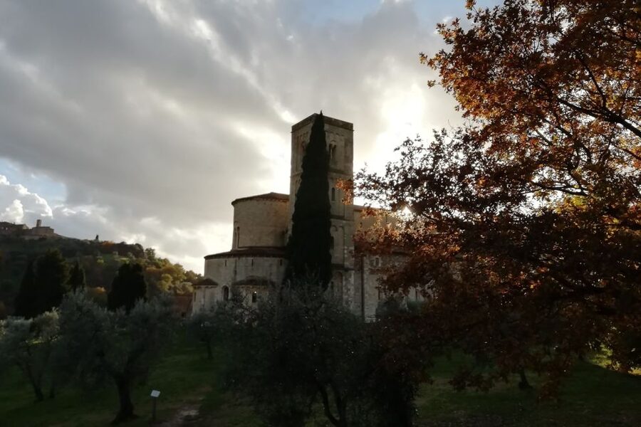 From Siena: Brunello di Montalcino Guided Wine Tour W/ Lunch - Getting started in Siena, then rolling into the Montalcino hills