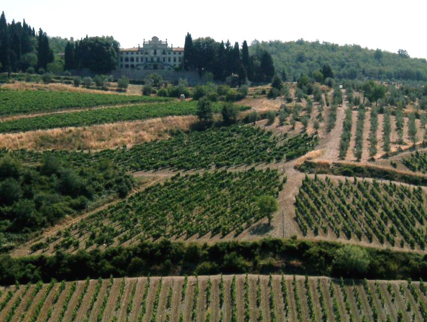 From Siena: Chianti and Castles Tour with Wine Tastings - A 5-Hour Chianti Loop That Keeps You Moving Without Feeling Rushed