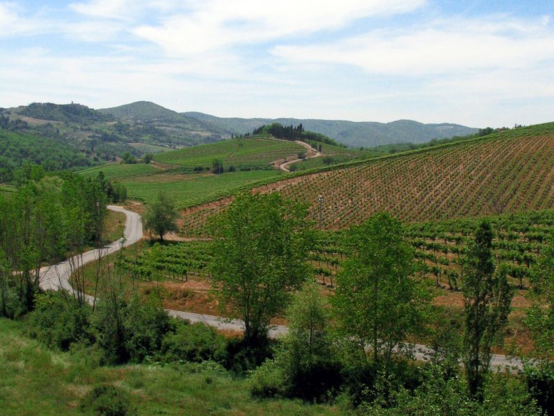 From Siena: Chianti and Castles Tour with Wine Tastings - Winery Stop One in the Chianti Area: The First Tasting Sets Your Baseline