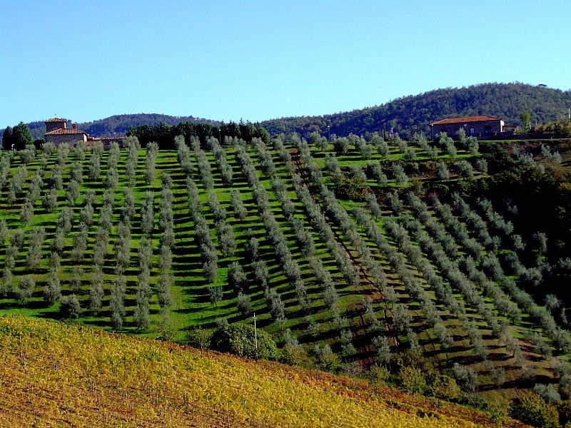 From Siena: Chianti and Castles Tour with Wine Tastings - Price and Value: Is $100 Worth It for Chianti From Siena?
