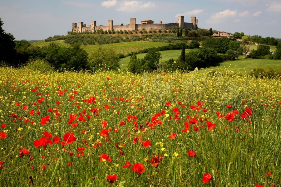 From Siena: Chianti Countryside E-Bike Tour w/ Lunch & Wine - Key Takeaways Before You Go