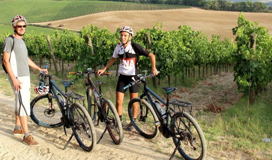 From Siena: Chianti Countryside E-Bike Tour w/ Lunch & Wine - The 20 km Ride Through Vineyards, Olive Groves, and Forest Shade