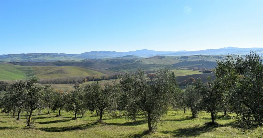 From Siena: Chianti Countryside E-Bike Tour w/ Lunch & Wine - How the 6 Hours Break Down, and What It Feels Like in Real Life