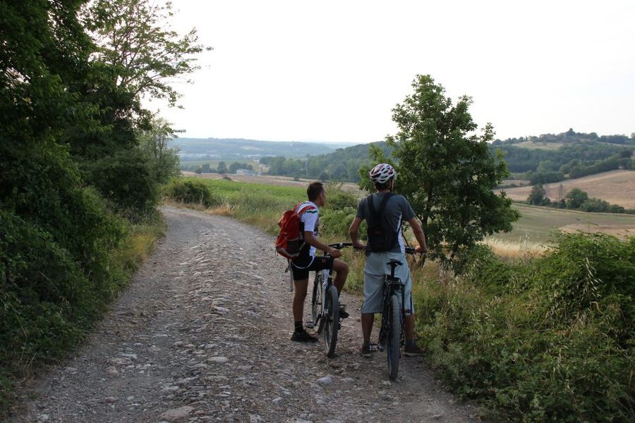 From Siena: Chianti Countryside E-Bike Tour w/ Lunch & Wine - Who Should Book This Chianti E-Bike Tour from Siena?