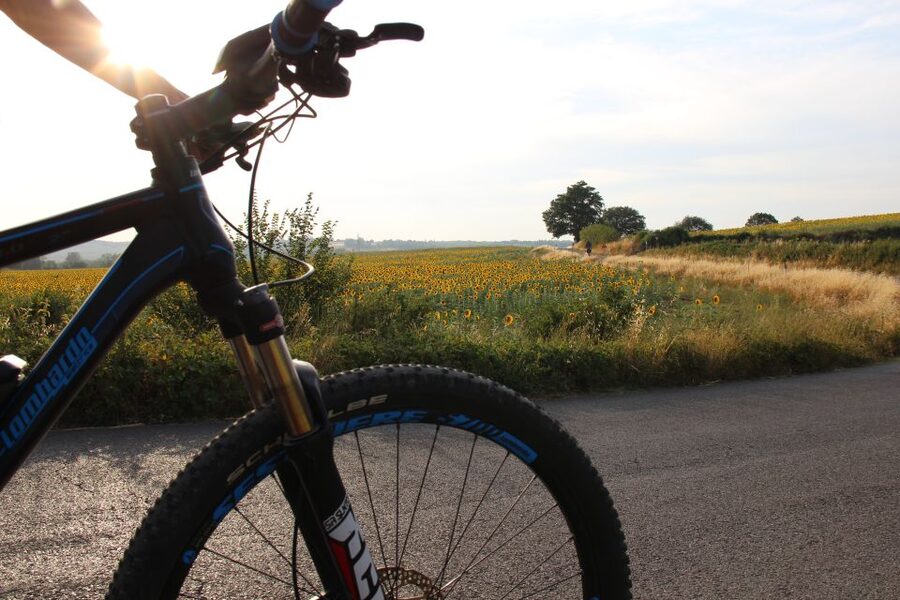 From Siena: Chianti Countryside E-Bike Tour w/ Lunch & Wine - Price, What You Get, and Whether It’s Worth $203.91