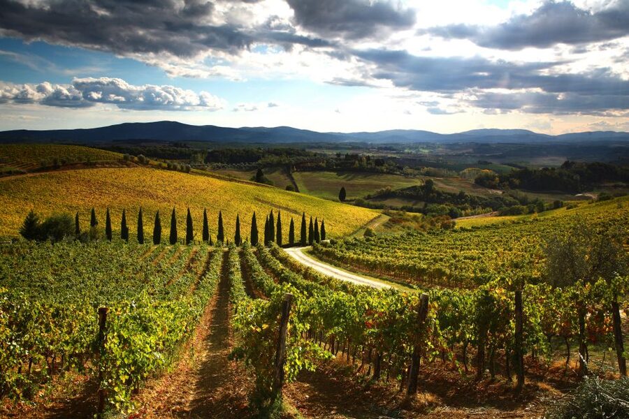 From Siena: Chianti Countryside E-Bike Tour w/ Lunch & Wine - Should You Book This Siena to Chianti E-Bike Day?