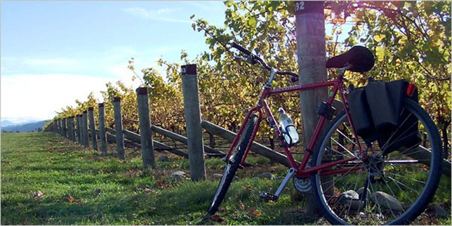 From Siena: Chianti Countryside E-Bike Tour w/ Lunch & Wine - From Siena Train Station Pharmacy to Your First Backroad