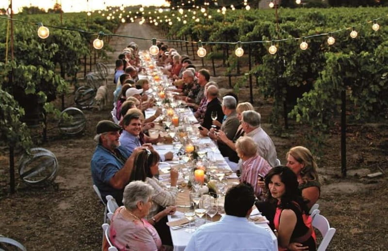 From Siena/Chianti: Dinner & Drinks in the Chianti Vineyards - Key things that make this Chianti dinner tour worth your time