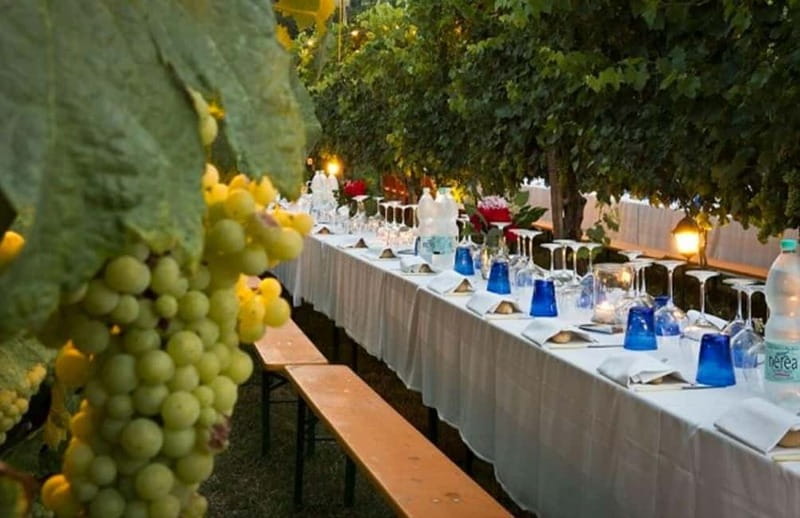 From Siena/Chianti: Dinner & Drinks in the Chianti Vineyards - Practicalities that can make or break your experience