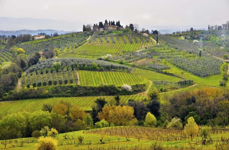 From Siena/Chianti: Dinner & Drinks in the Chianti Vineyards - Tuscany turns different after 6 PM in the Chianti vineyards