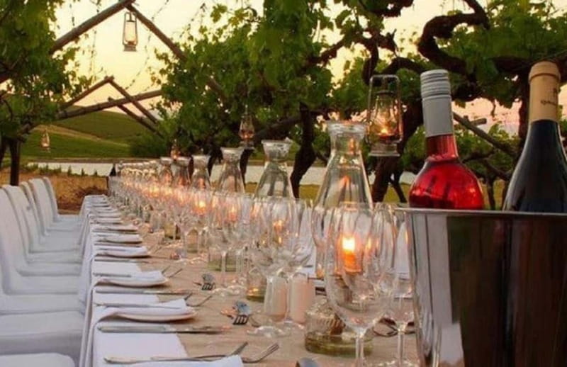 From Siena/Chianti: Dinner & Drinks in the Chianti Vineyards - Winery and wine-route tastings: more than a quick pour