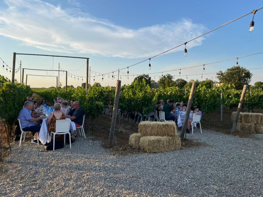 From Siena/Chianti: Dinner & Drinks in the Chianti Vineyards - The wine setup: what is included, and how to pace it