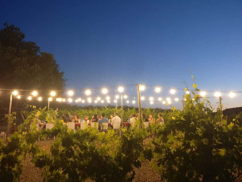 From Siena/Chianti: Dinner & Drinks in the Chianti Vineyards - Price and value: is $123.48 a fair deal for this kind of evening?