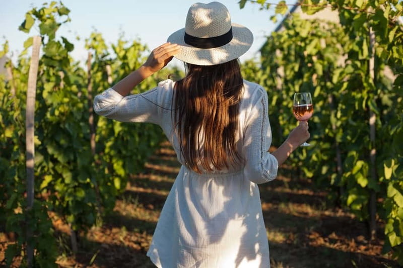 From Siena/Chianti: Dinner & Drinks in the Chianti Vineyards - Siena to the farmhouse: what the ride and timing mean for you