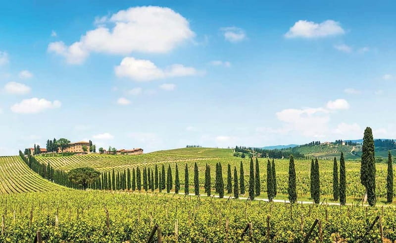 From Siena: Chianti Electric Bike Tour - Why an electric bike works so well in Chianti hills
