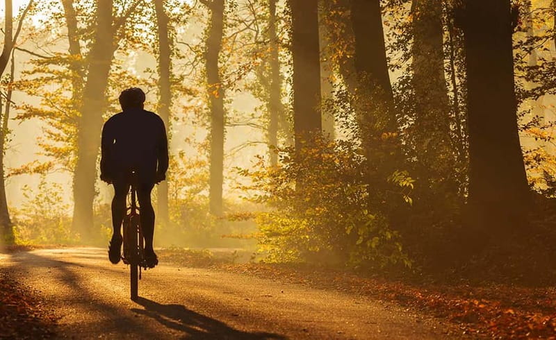 From Siena: Chianti Electric Bike Tour - The ride itself: about 40 km of vineyards and respectful road-sharing