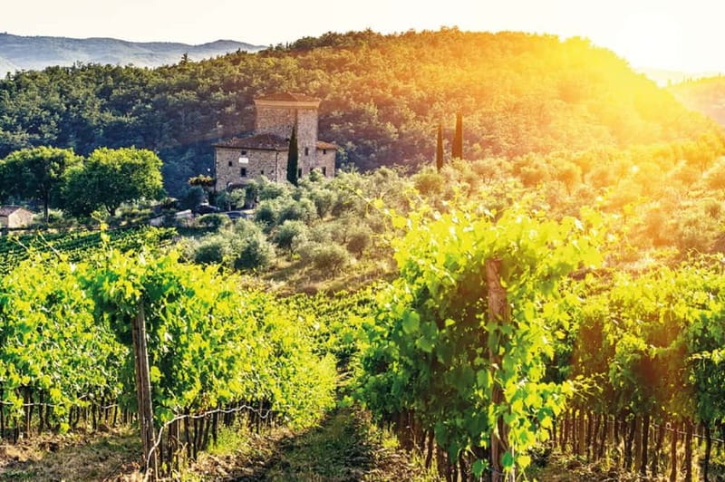 From Siena: Chianti Electric Bike Tour - Monteriggioni: the medieval payoff at the end of the day