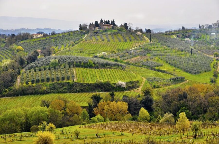 From Siena: Chianti Electric Bike Tour - What to wear and bring for a comfy e-bike day