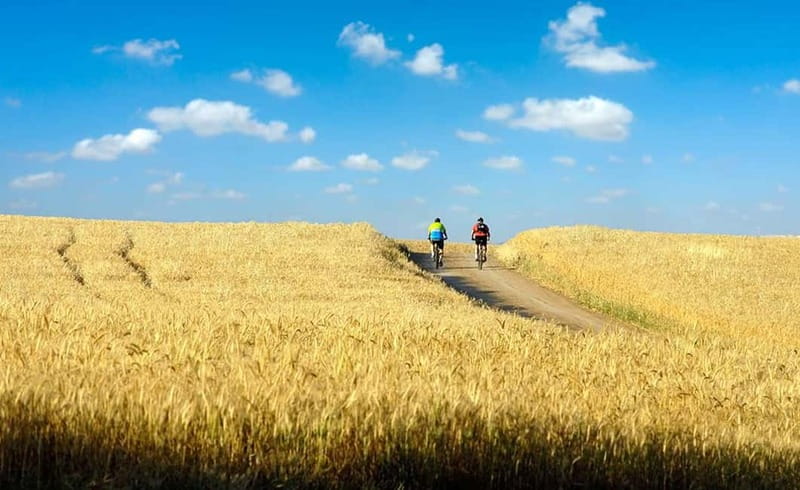 From Siena: Chianti Electric Bike Tour - Getting from Siena to the countryside, without long dead time