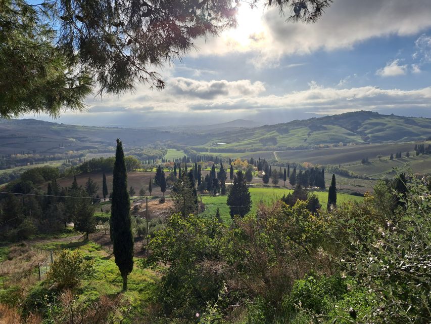 From Siena: Pienza and Montepulciano Small-Group Tour - Siena to Pienza: riding the Crete Senesi moonscape road