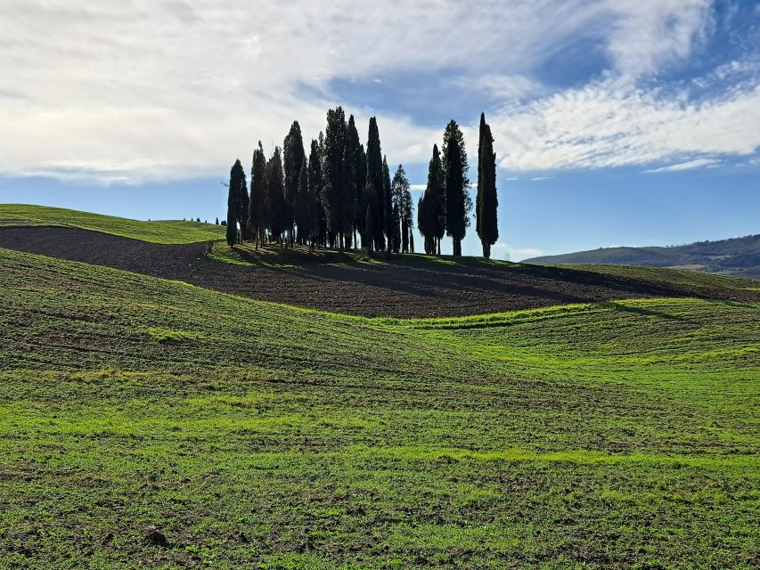 From Siena: Pienza and Montepulciano Small-Group Tour - Price and value: what you get for about $203.91