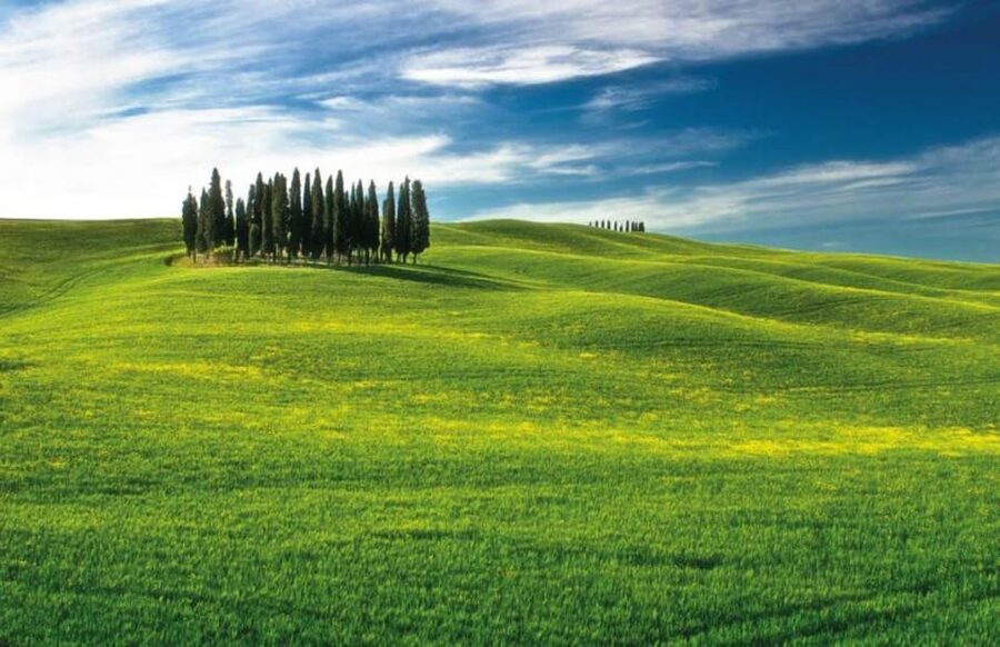 From Siena: San Gimignano, Chianti, and Montalcino Day Trip - A one-day UNESCO-and-Brunello route from Siena