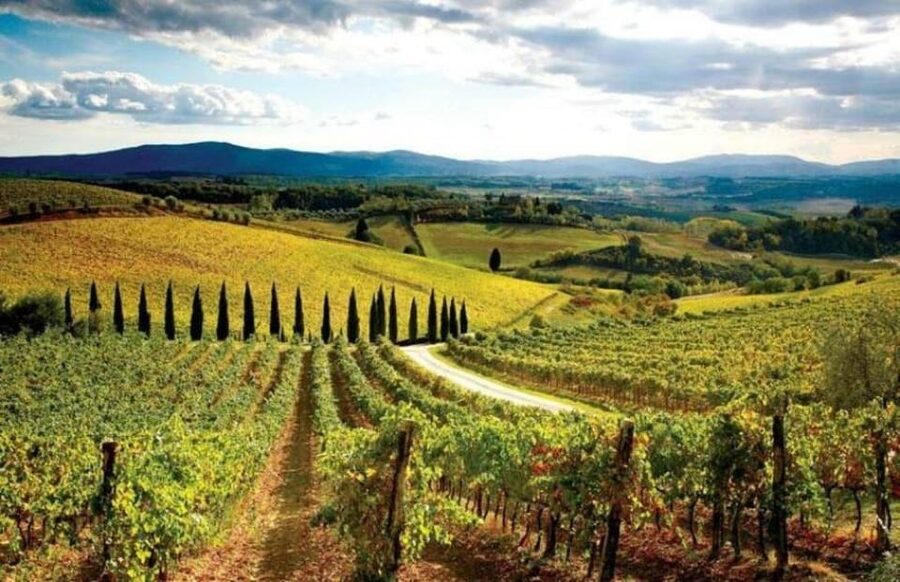 From Siena: San Gimignano, Chianti, and Montalcino Day Trip - Price and value: $158.60 for a wine-heavy, multi-town day