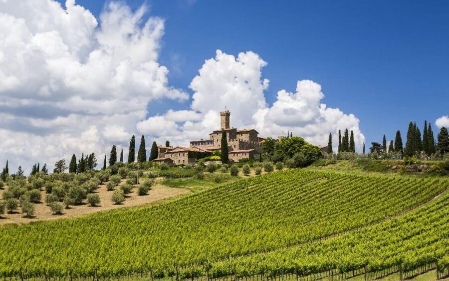 From Siena: San Gimignano, Chianti, and Montalcino Day Trip - San Gimignano: towers, Vernaccia, and real time to roam