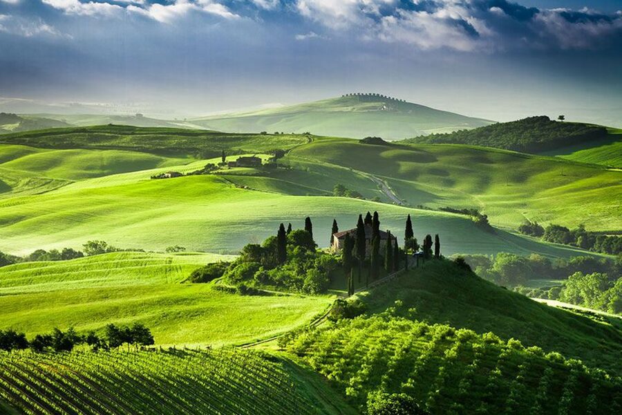 From Siena: Tuscany Hills Wine Tour - Montepulciano: the Renaissance drama and the Nobile di Montepulciano tasting