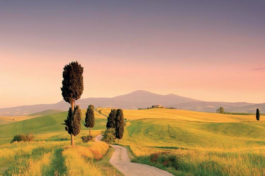 From Siena: Tuscany Hills Wine Tour - The road between stops: comfort, timing, and how to handle delays