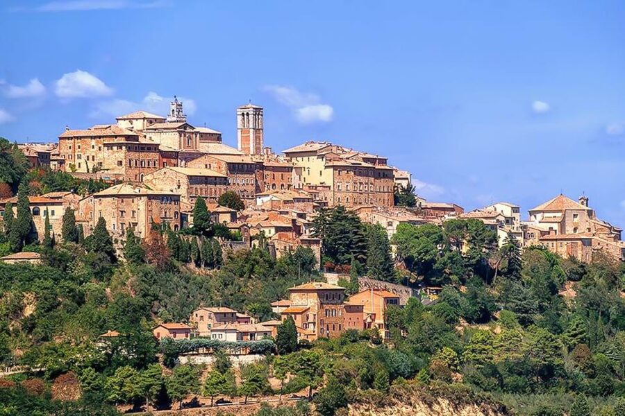 From Siena: Tuscany Hills Wine Tour - Wine tasting expectations: what you get, and what you might wish were different