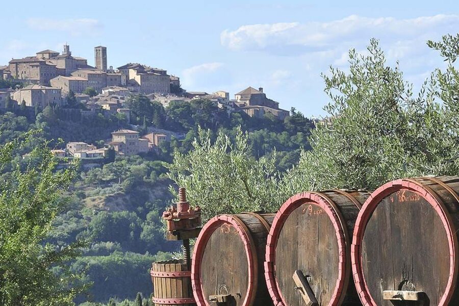 From Siena: Tuscany Hills Wine Tour - Value for money: is the $146.14 price fair