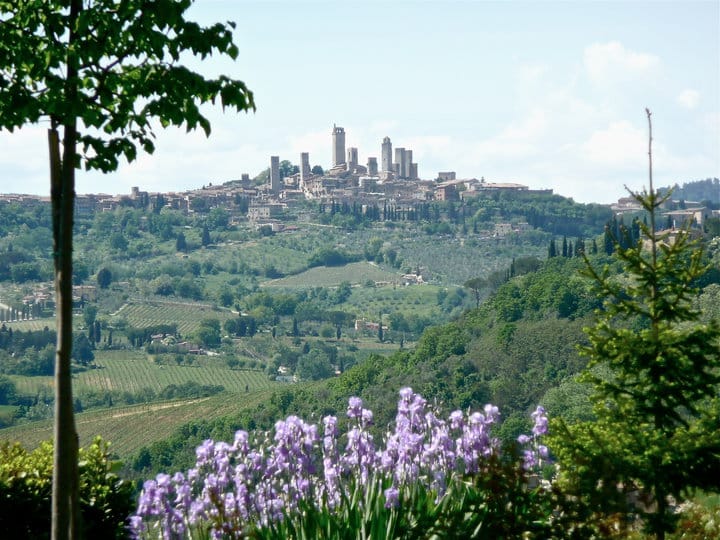 Full-Day Tour of Tuscany from Florence-small group up 8 pax - San Gimignano, Towers and Gelato With Just Enough Time to Enjoy It