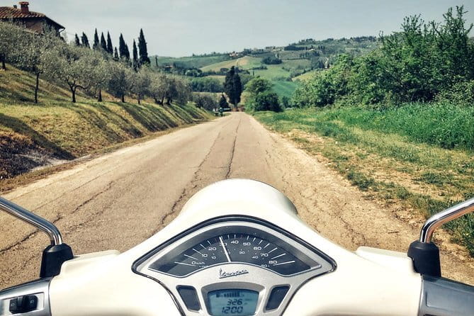 Half day Chianti Vineyard Escape from Florence with Wine Tastings - Wine tasting reality: how to get the most from your pours