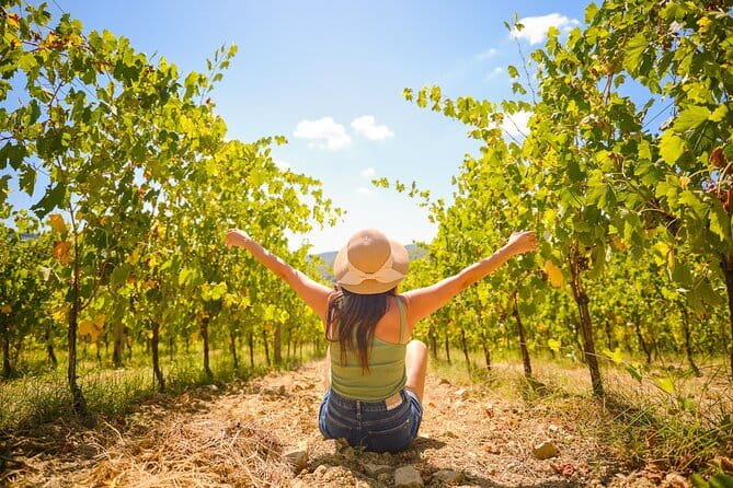 Half day Chianti Vineyard Escape from Florence with Wine Tastings - The road that does the heavy lifting: rolling hills along Strada 222