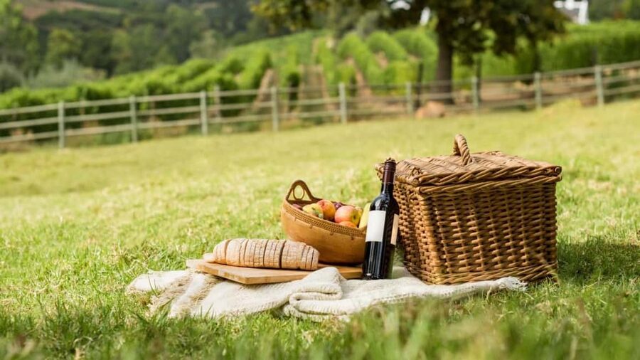 Half-day Hills Experience to San Gimignano with Pic Nic Wine - Who this tour is best for, and who should pick something else