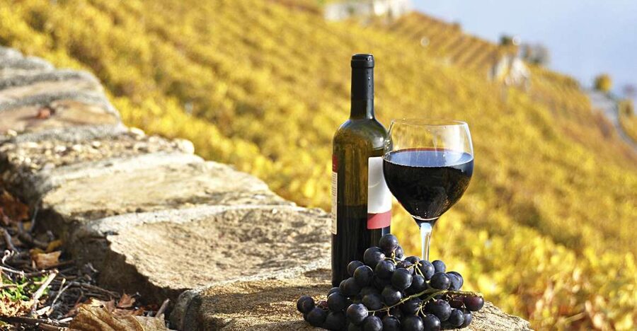Half-Day Tour from Florence: Chianti Colors & Flavors - Getting Out of Florence: Coach Ride, Timing, and What It Means
