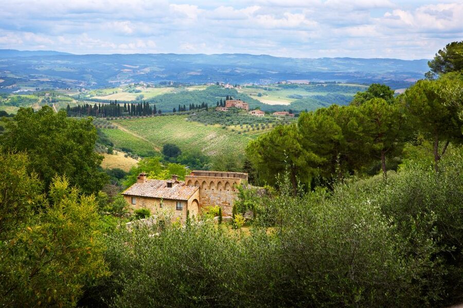 Half-Day Tour of San Gimignano From Florence - Key highlights at a glance